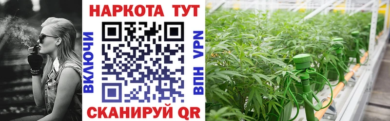 Магазины продажи наркотиков Покровск Псилоцибиновые грибы Мефедрон Кокаин Гашиш Каннабис