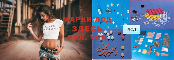 стаф Беломорск