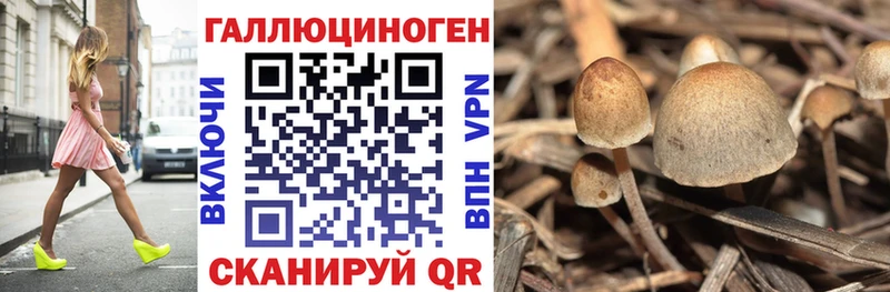 кракен сайт  Покровск  Псилоцибиновые грибы GOLDEN TEACHER 
